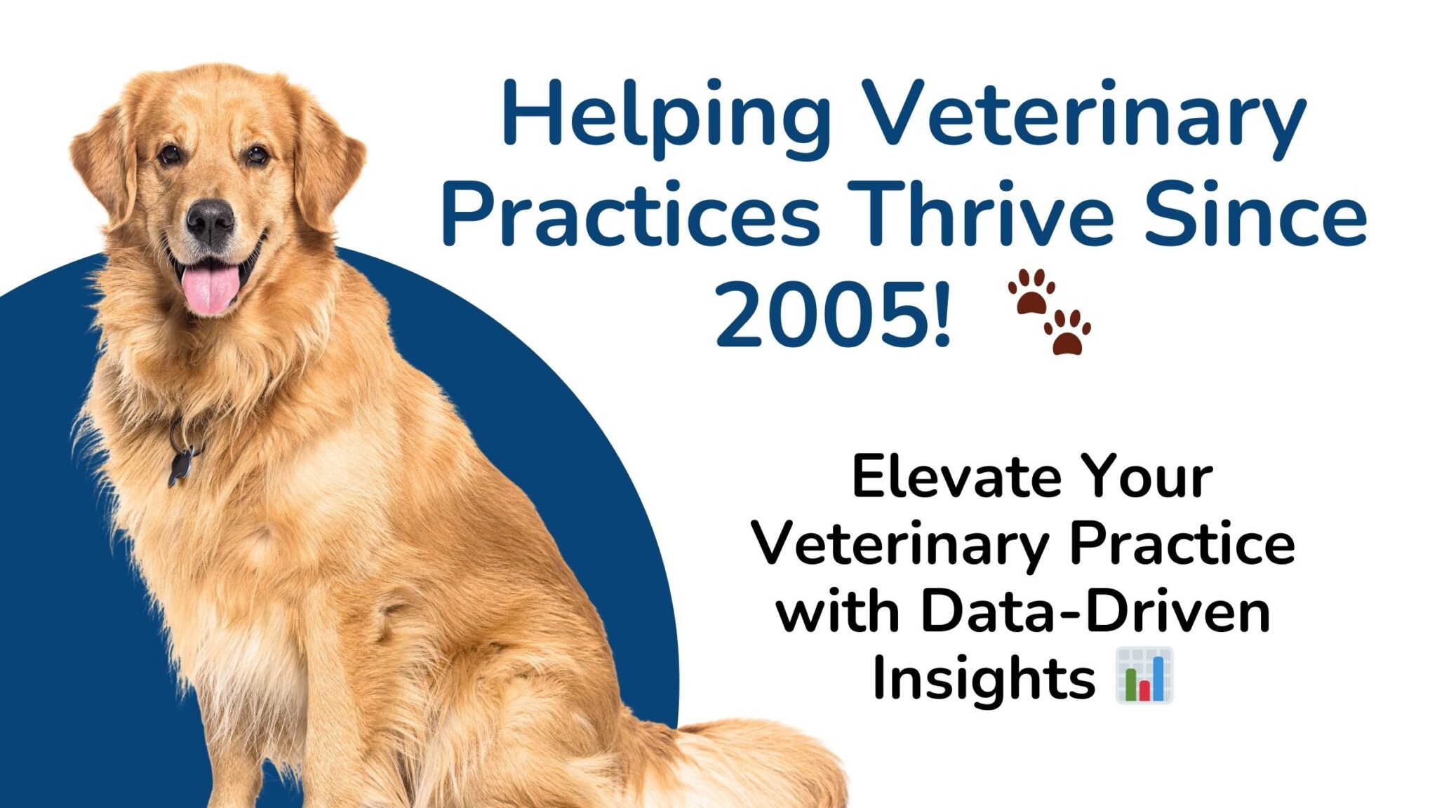 CalPro Research — veterinary practice data overview